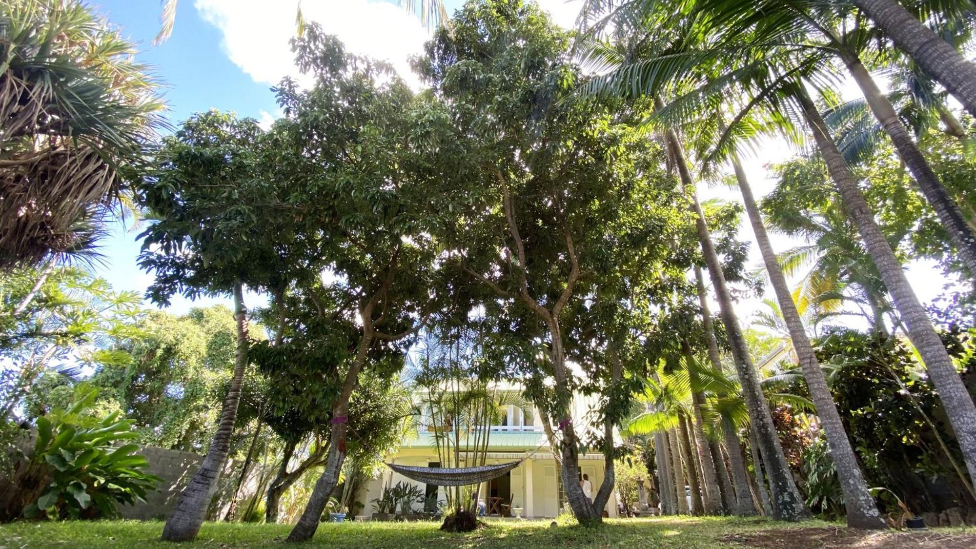 Coliver - Coliving A La Reunion Saint Pierre Exteriör bild