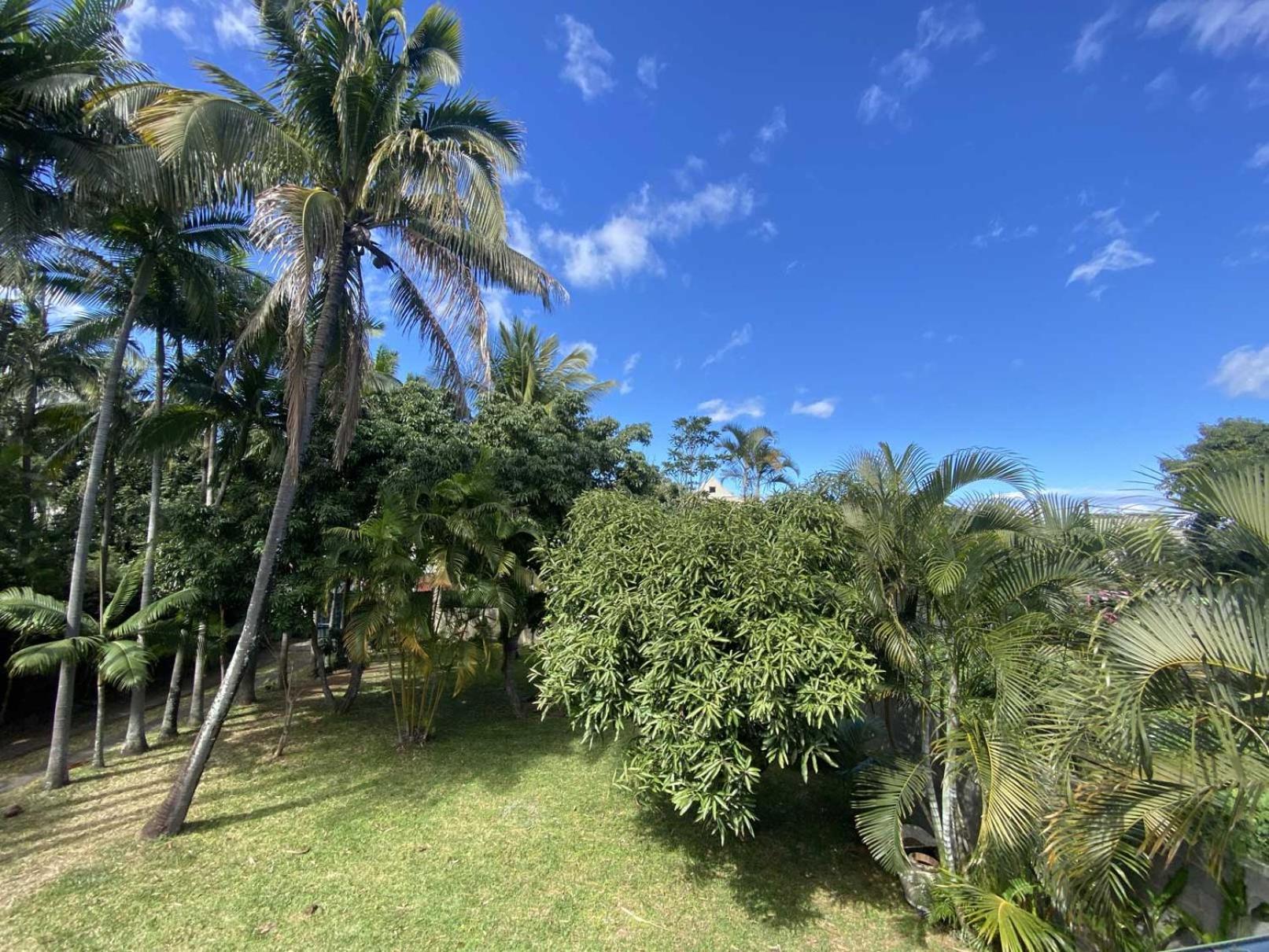 Coliver - Coliving A La Reunion Saint Pierre Exteriör bild